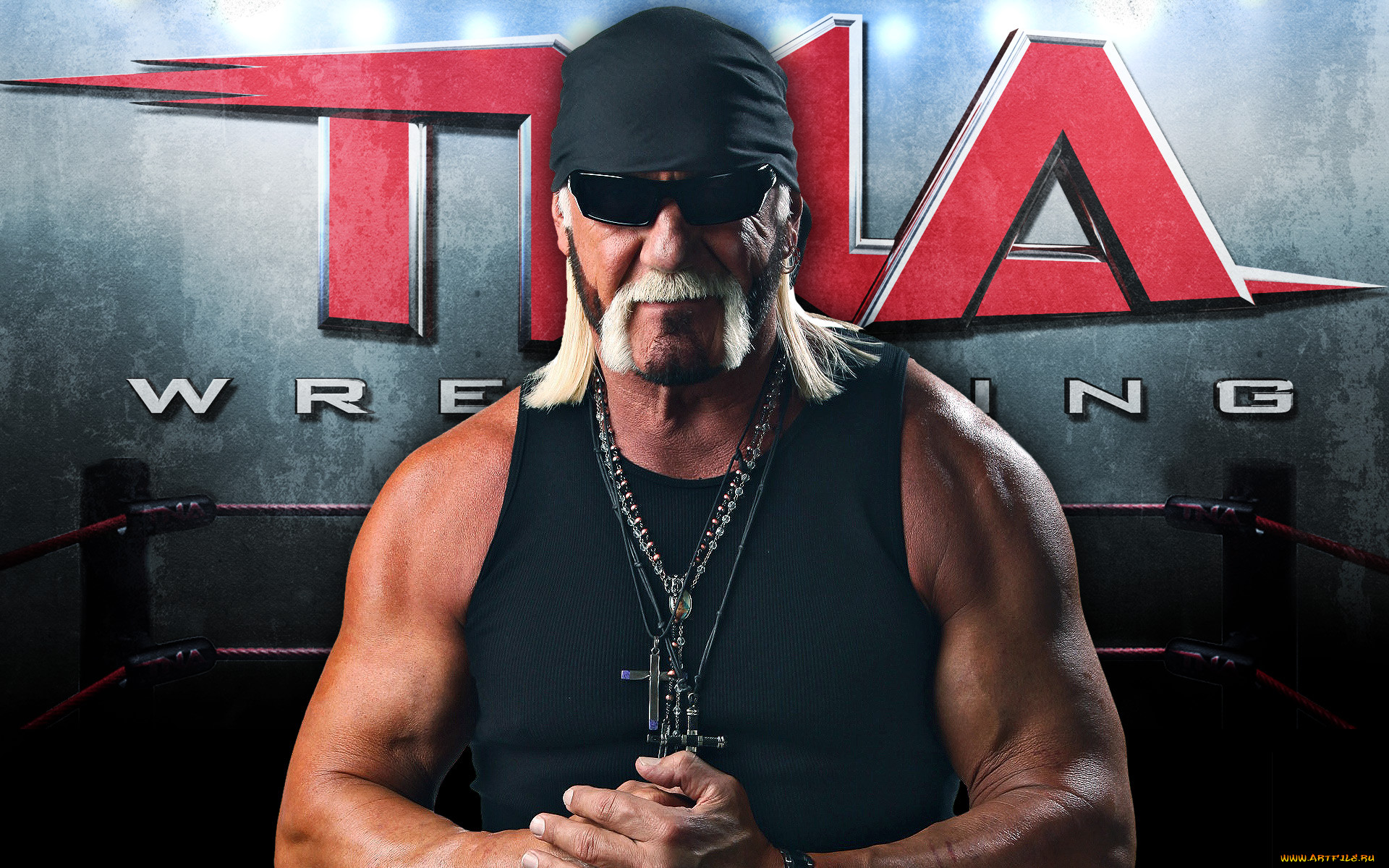 hulk, hogan, 